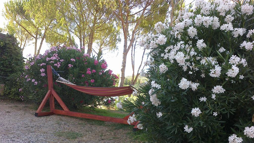 Agriturismo Podere Mulinaccio Ribolla Extérieur photo