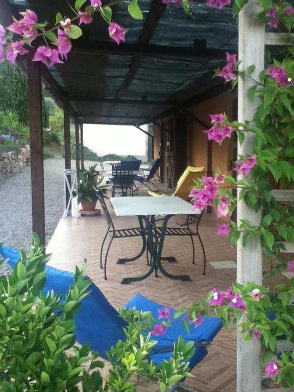 Agriturismo Podere Mulinaccio Ribolla Extérieur photo